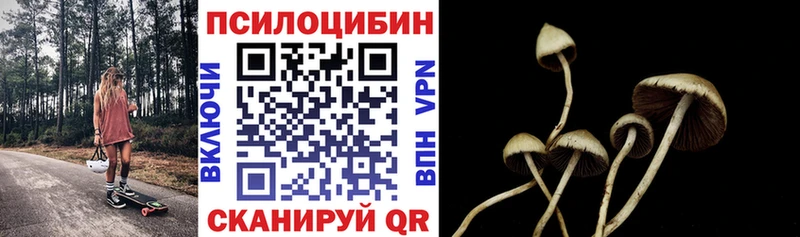 Псилоцибиновые грибы Psilocybine cubensis Купить где Алапаевск
